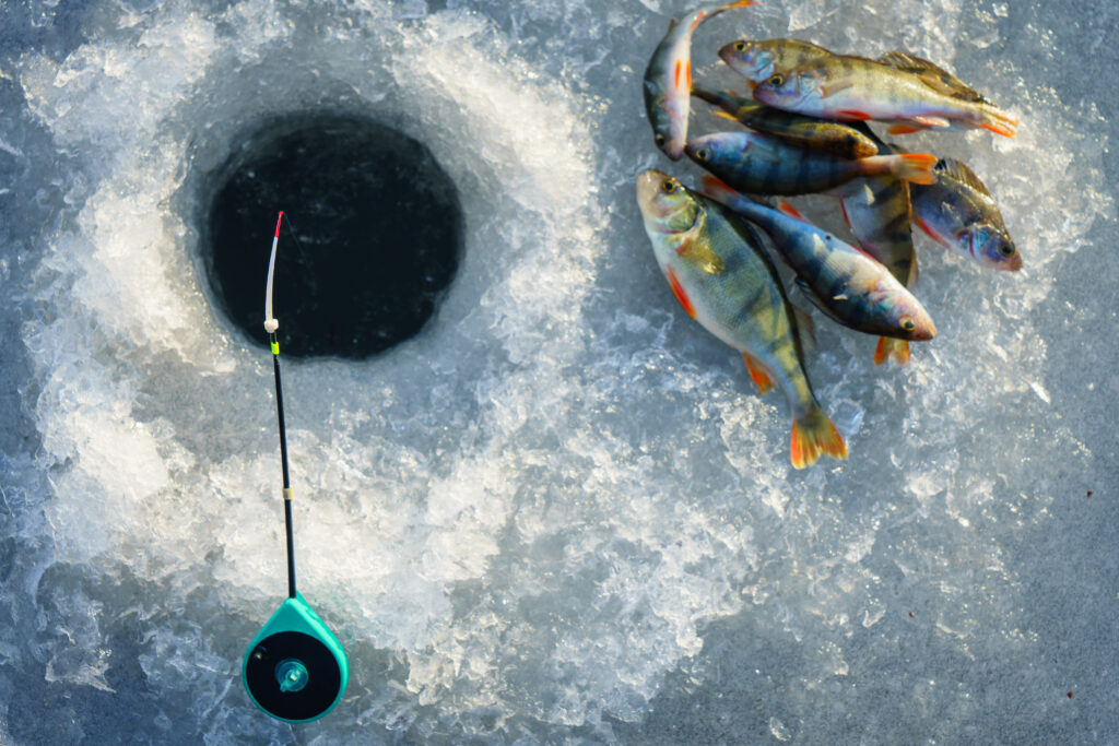 Ice fishing hole and fish.