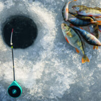 Ice fishing hole and fish.