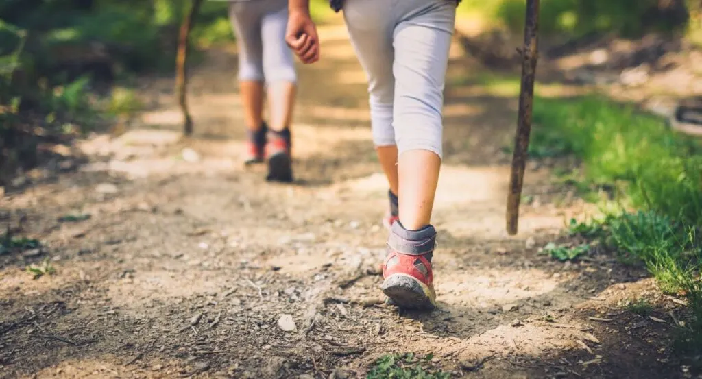 Two people hike in the woods.