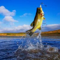 Bass Fishing Lakes in Minnesota. Discover bass fishing tips for your next trip.