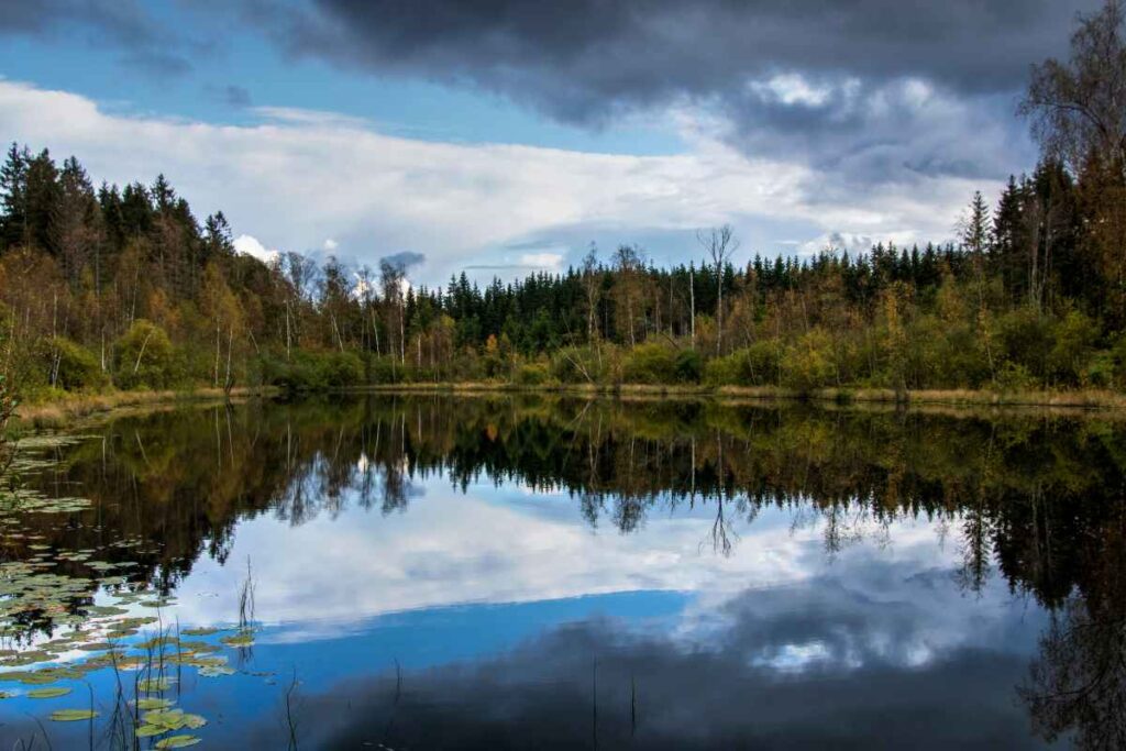 Hayes Lake State Park