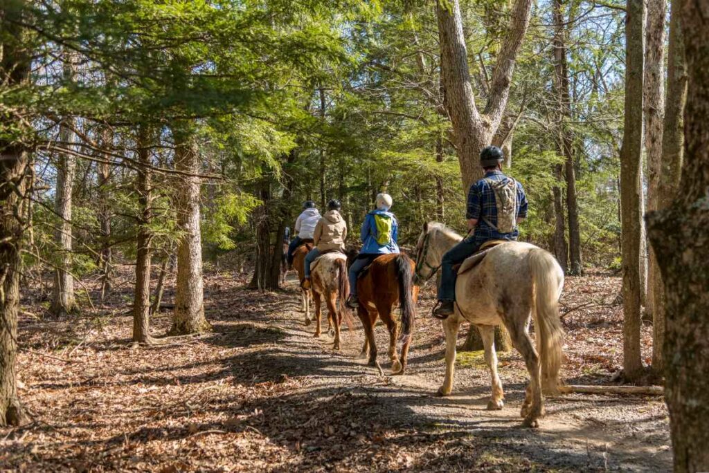 horseback riding at Split Rock Creek State Park