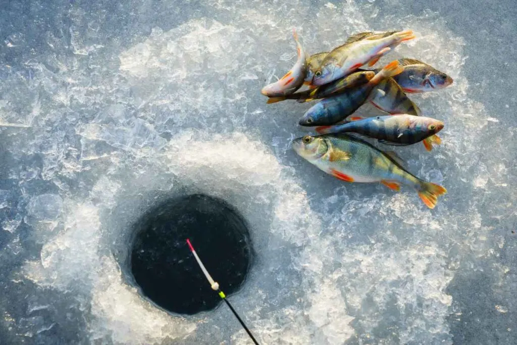 Lake Vermilion Fishing on Ice