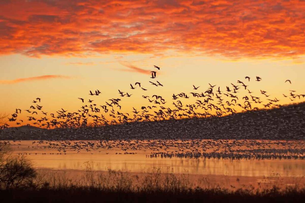 Lac qui Parle State Park