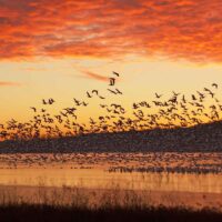 Lac qui Parle State Park