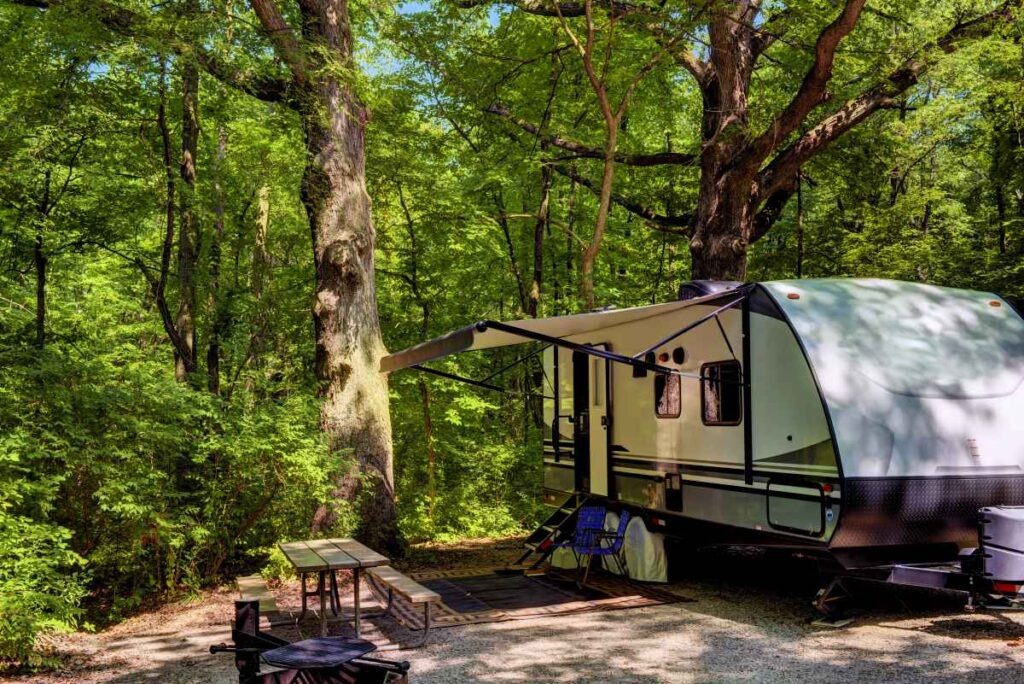 Lake Bemidji State Park Camping Site