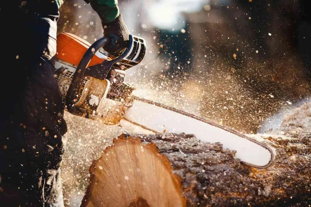 Lumberjack Minnesota Festival