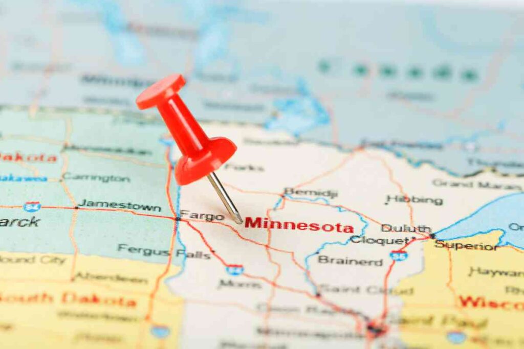 Minnesota map hat