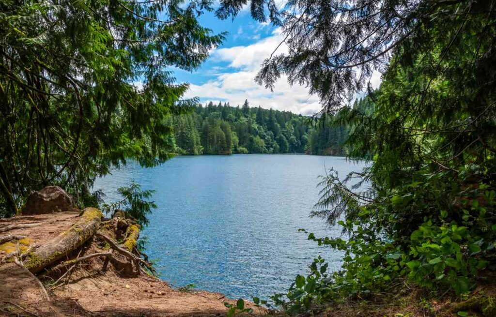 Beautiful lake View from a Hike
