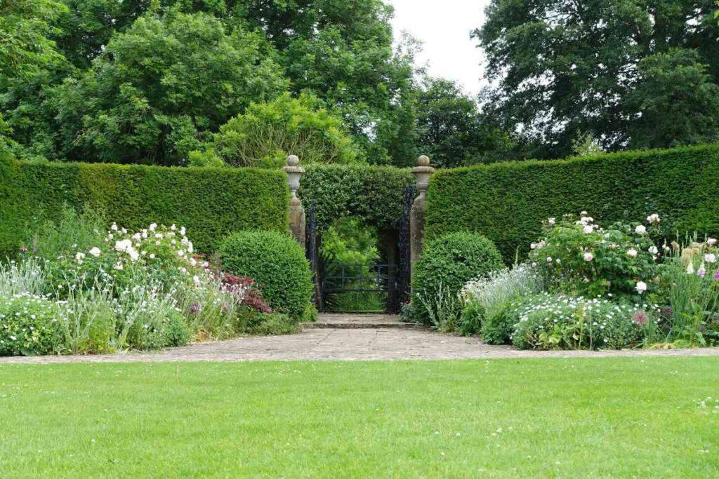 Mansion Garden