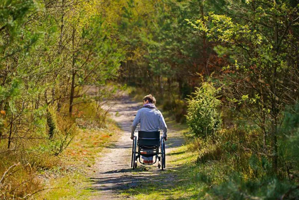 Wheelchair in the Woods