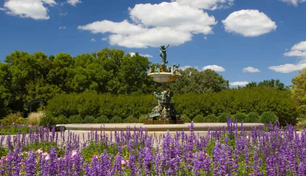 A Fountain in the Lyndale Park Rose Garden