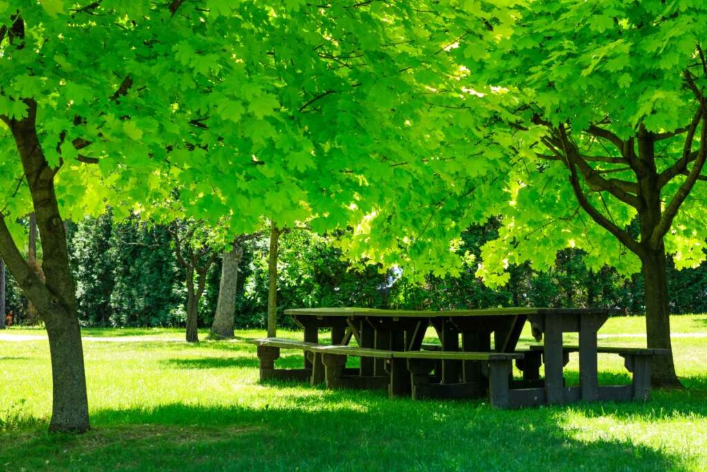 Afton State Park Picnic Tables