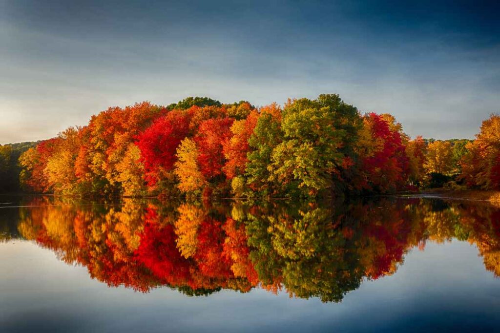 Autumn Leaves