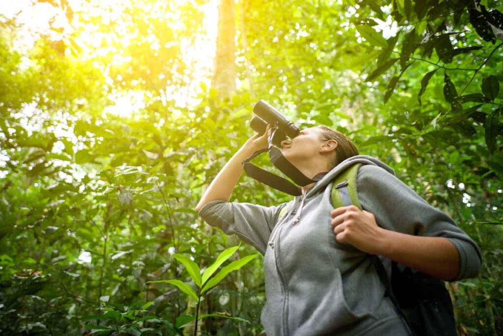 Bird Watching at Moose Lake State Park