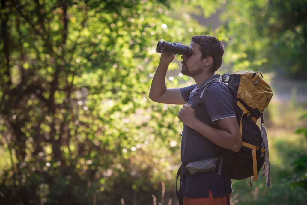 Bird Watching at Great River Bluffs State Park