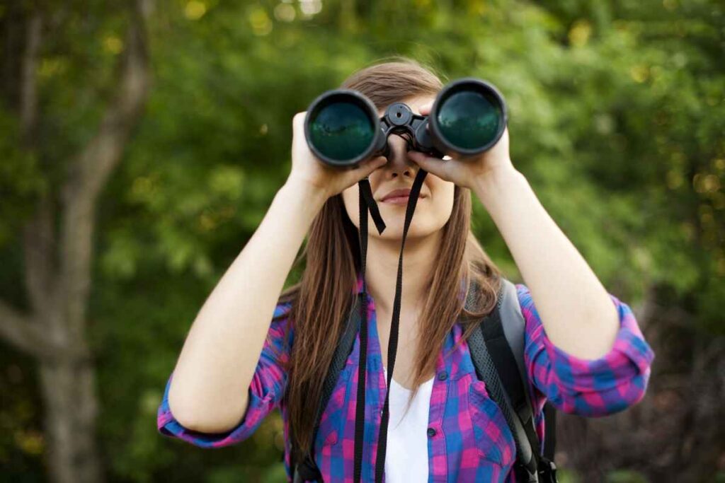Bird Watching at Nerstrand Big Woods State Park