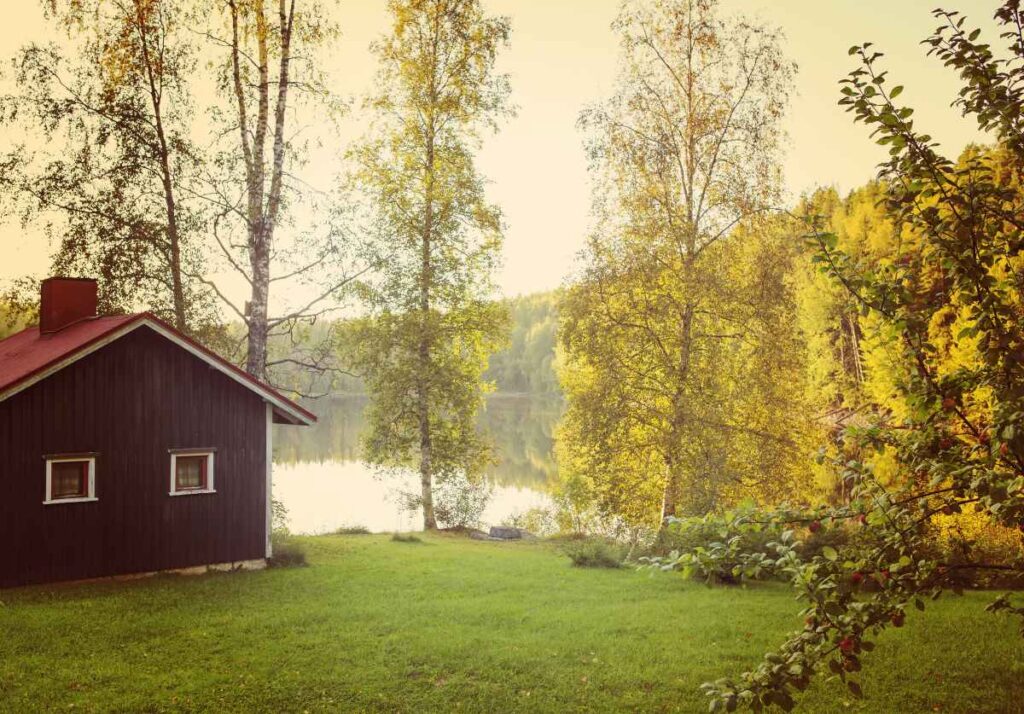 Cabin on the Lake