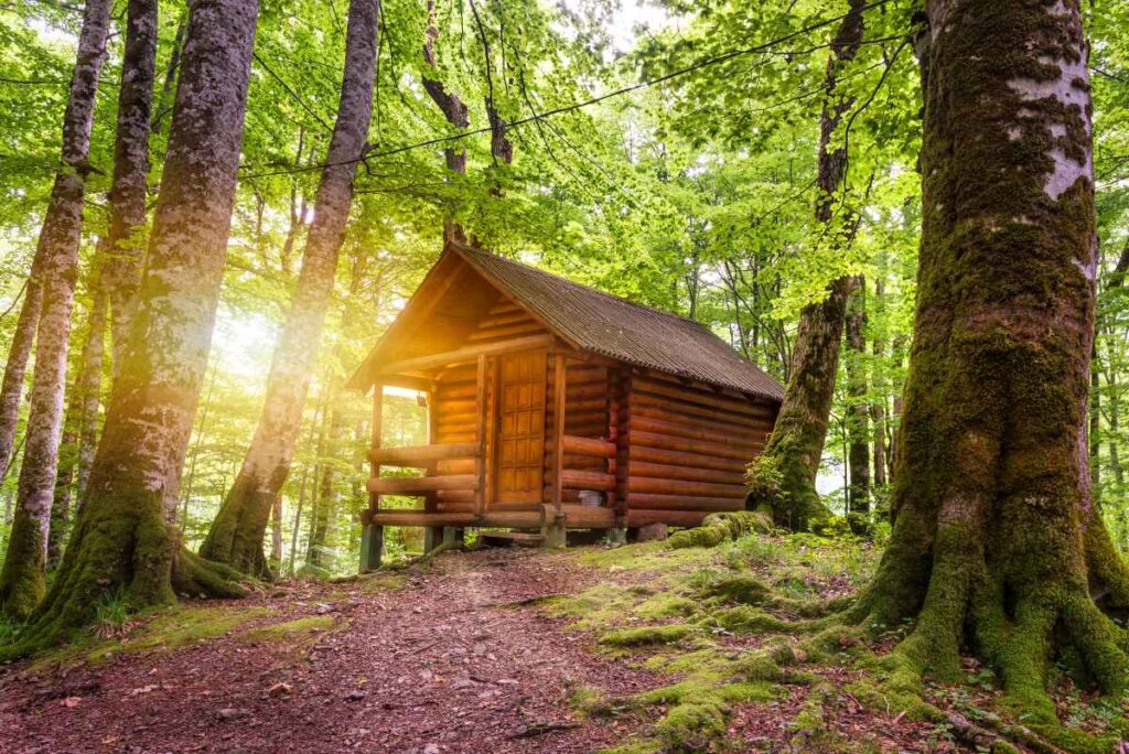 Cabin at Scenic State Park