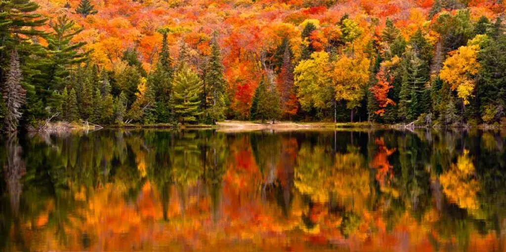 Minnesota Fall Leaves Around Mille Lacs Lake