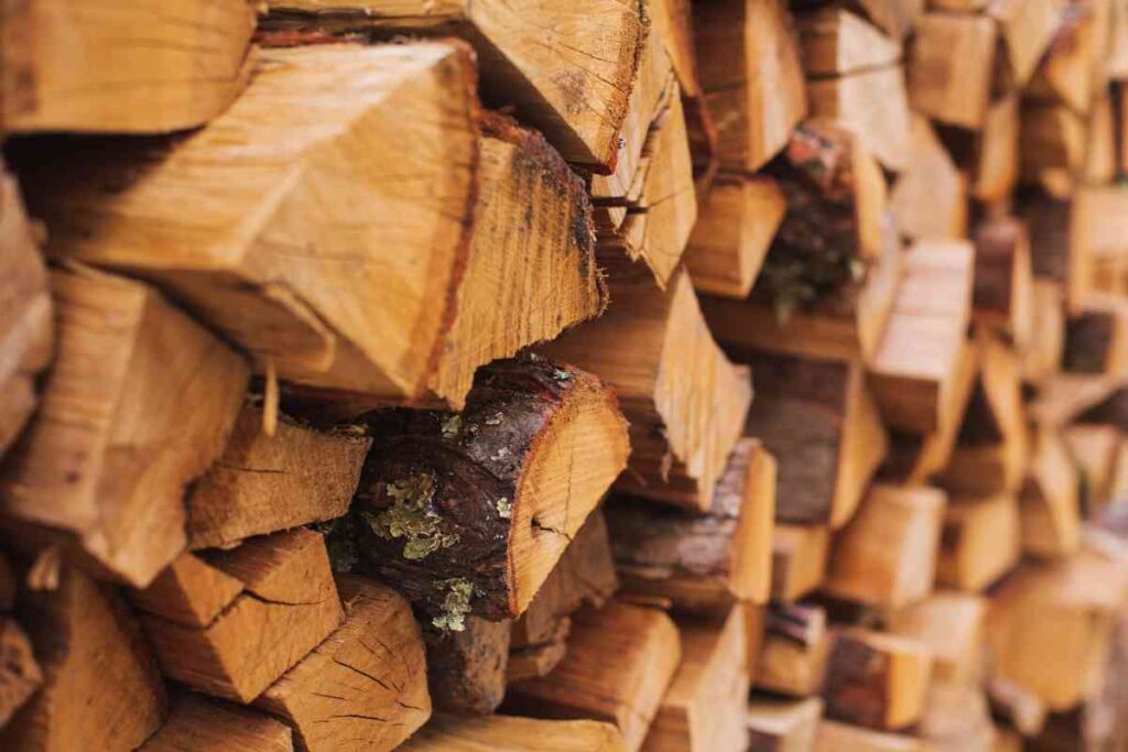 Firewood at Crow Wing State Park