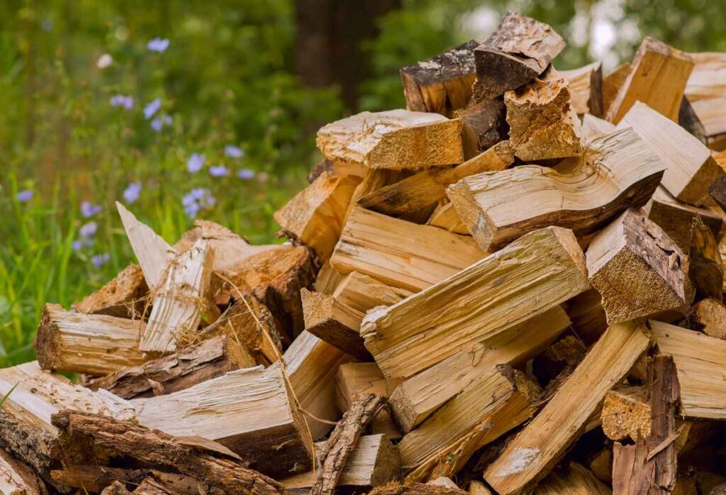 Firewood Pile