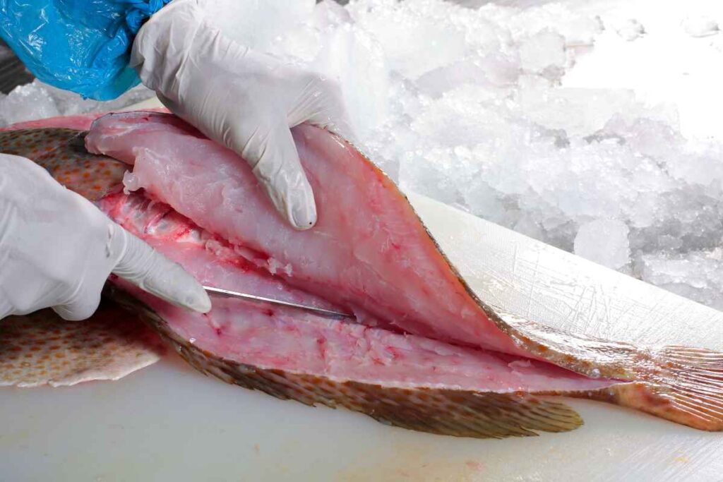 Fish Cleaning