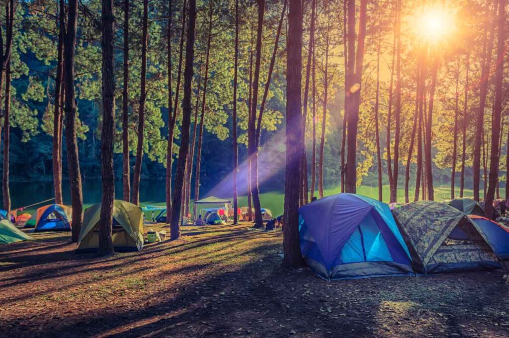 Group Camping at Scenic State Park