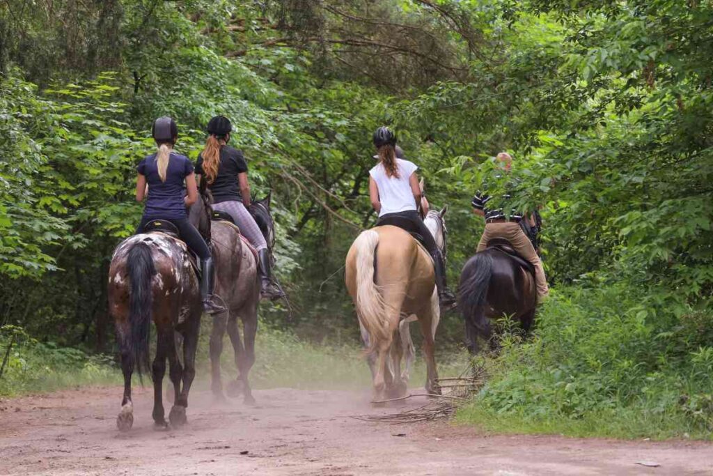 Horseback Riding at Glacial Lakes State Park