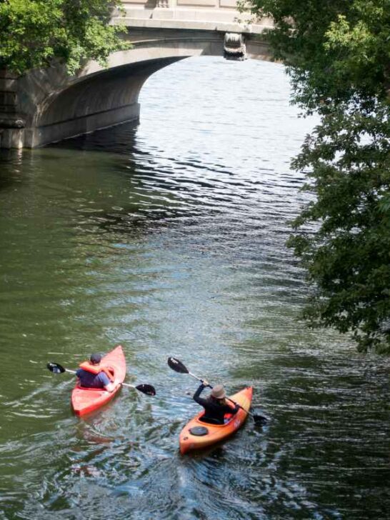 The Complete Mille Lacs Lake Fishing Guide