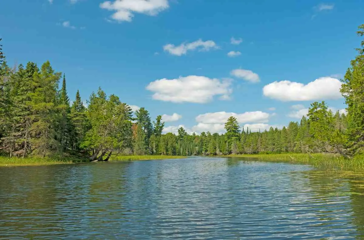 Lake Carlos State Park