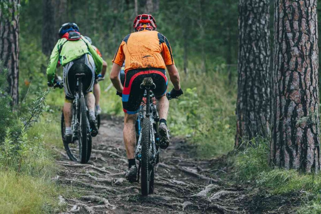 Mountain Biking