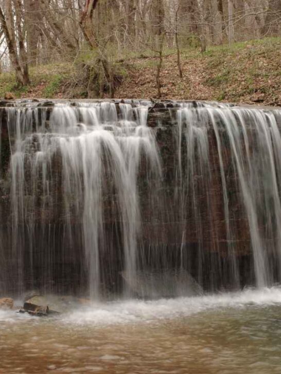 Escape to Serenity: Your Guide to Minnesota's Beaver Creek Valley State Park