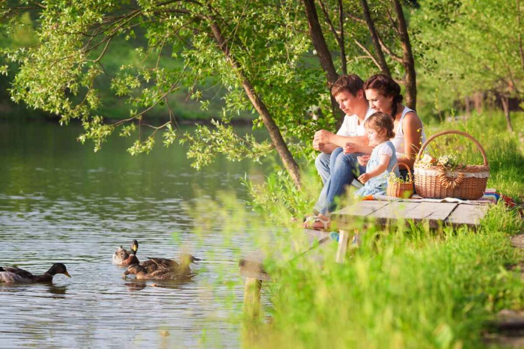 Picnic at Moose Lake State Park