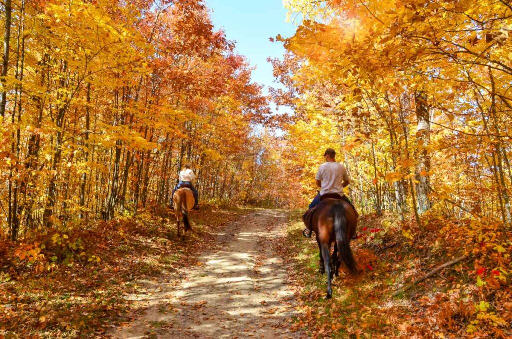 Riding Horses at Sibley State Park