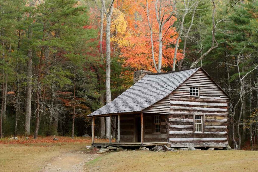 Rustic Cabin