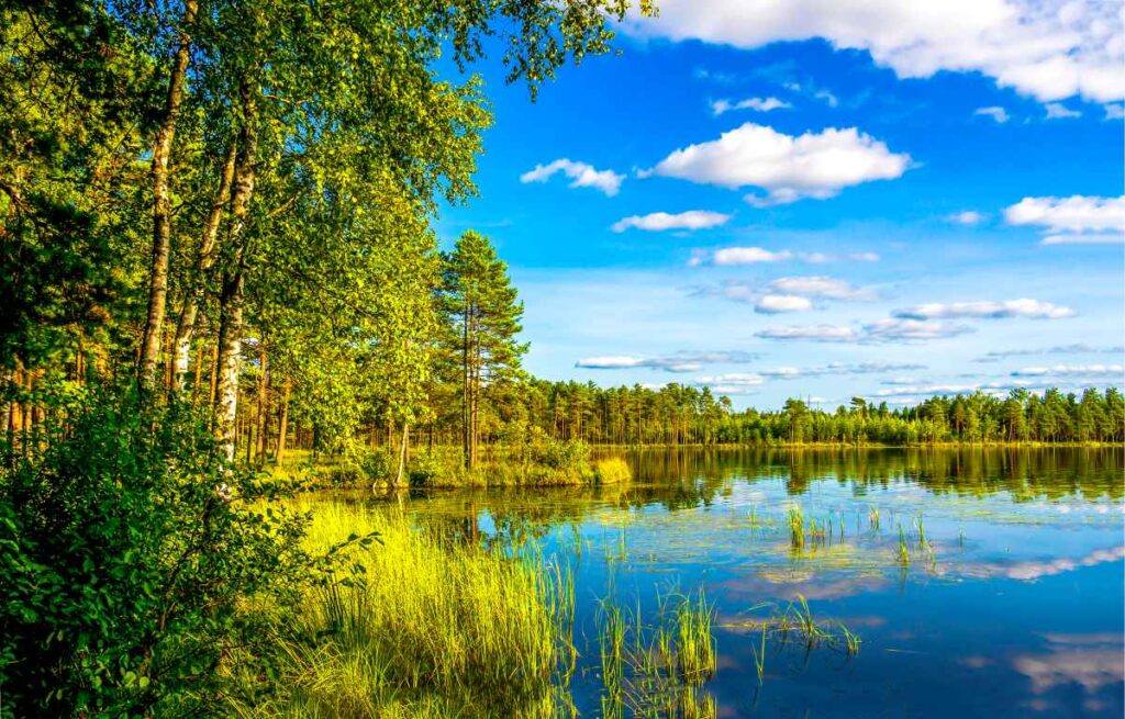 Sakatah Lake State Park
