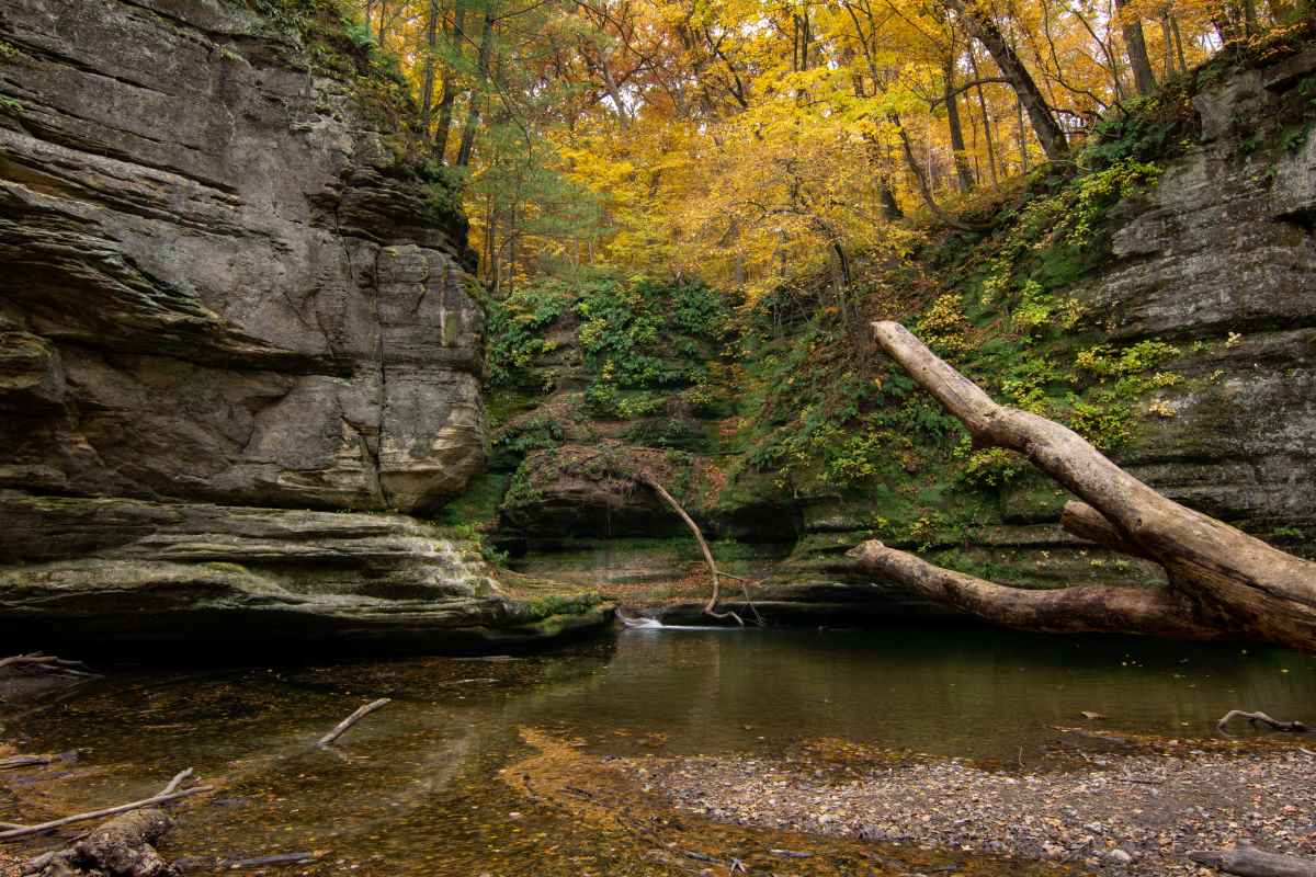 Minnesota Whitewater State Park: Where Adventure Meets Serenity