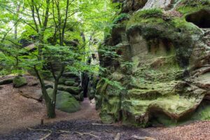 The Best Visitor's Guide to Afton State Park