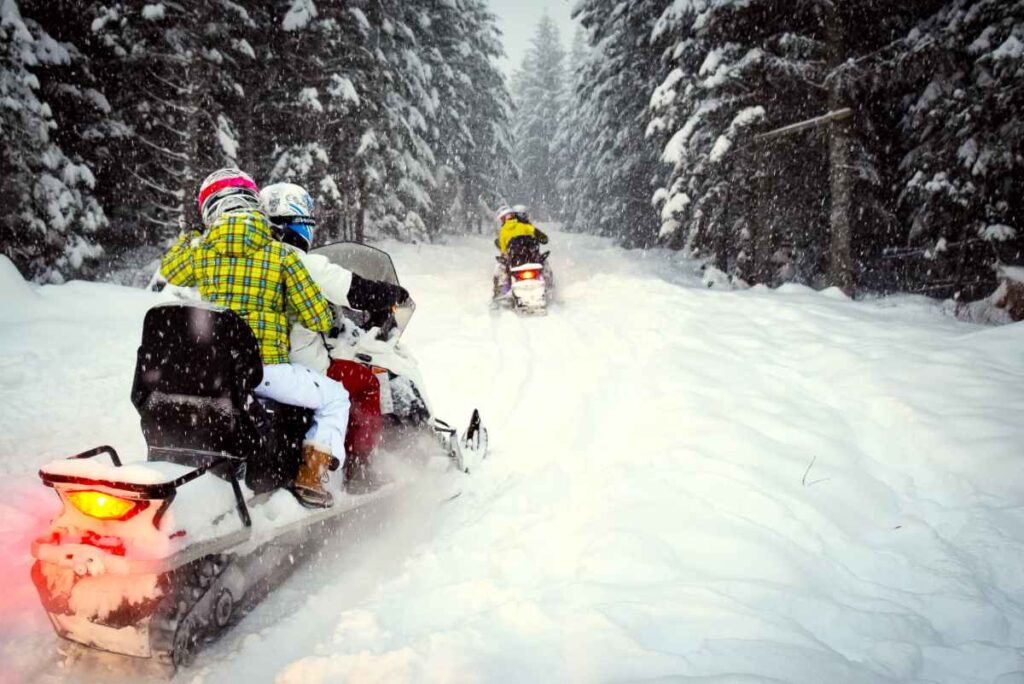 Snow Mobiles at Banning State Park