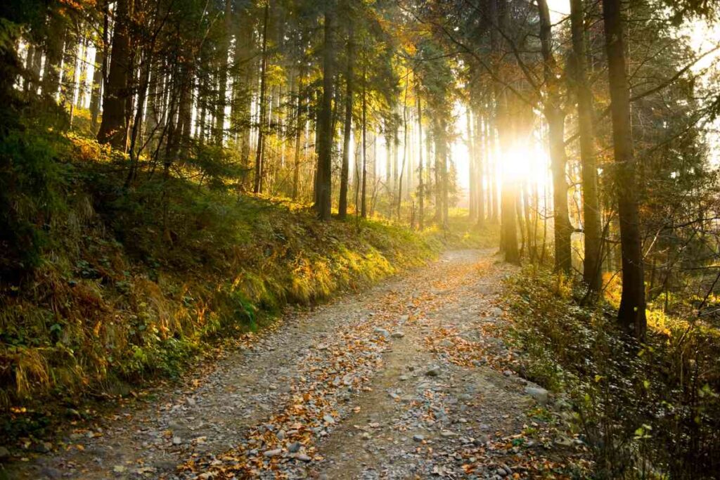 Sunset Trail