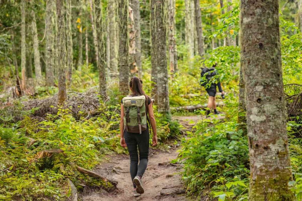 Trail Hiking at Crow Wing State Park