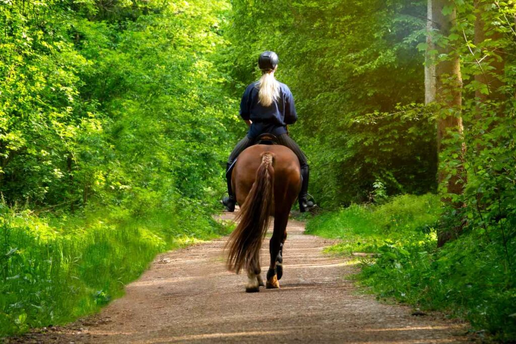 Trail Riding at Lake Carlos State Park