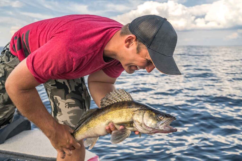Walleye Fishing