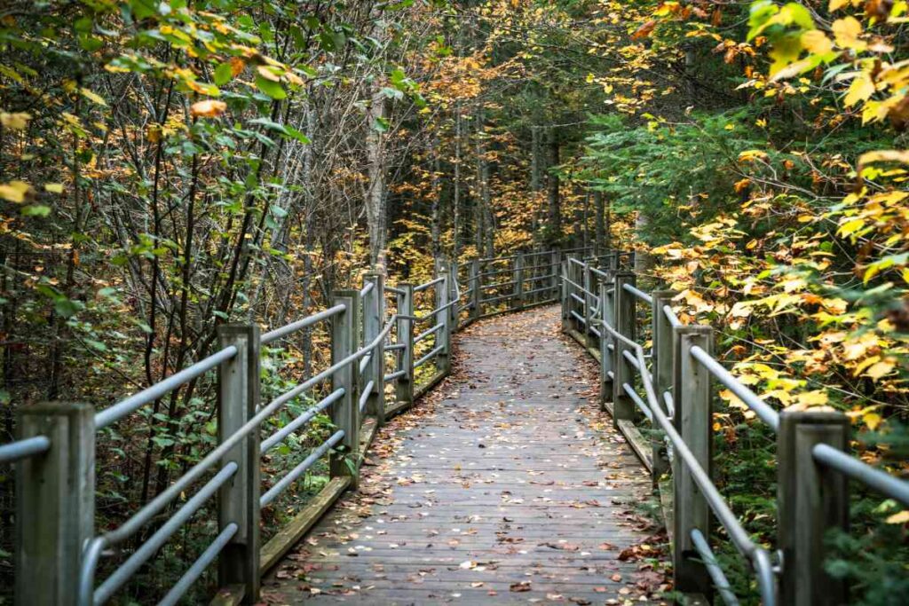 Wheelchair-Accessible Hiking Trail at Grand Portage State Park