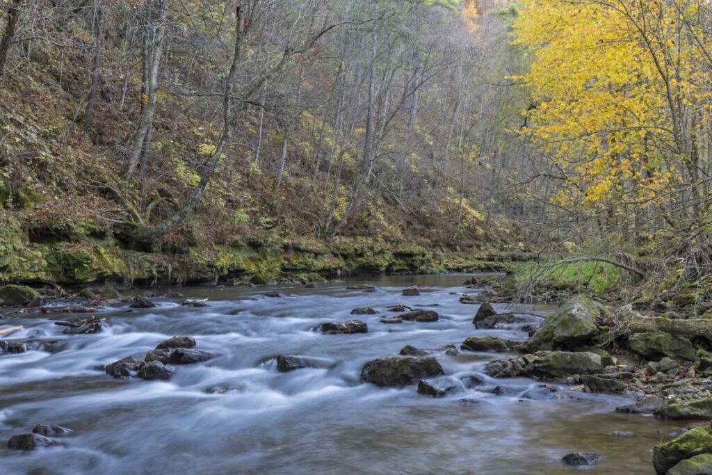 Whitewater State Park