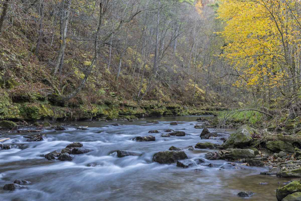 Whitewater State Park