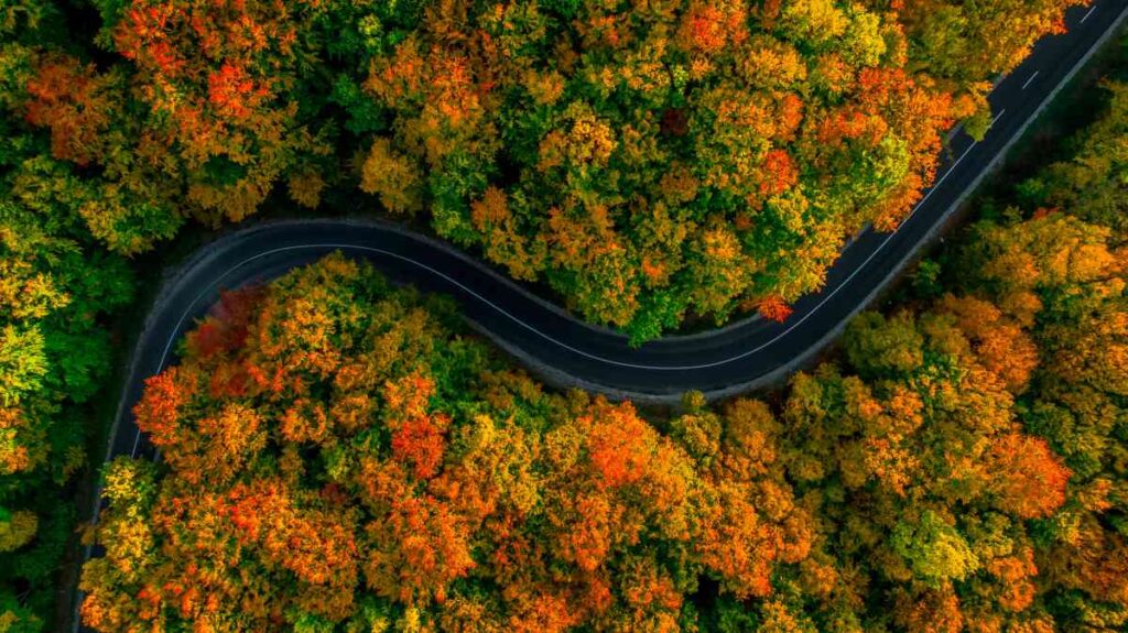 Autumn Highway Near Mille Lacs Lake Kathio State Park