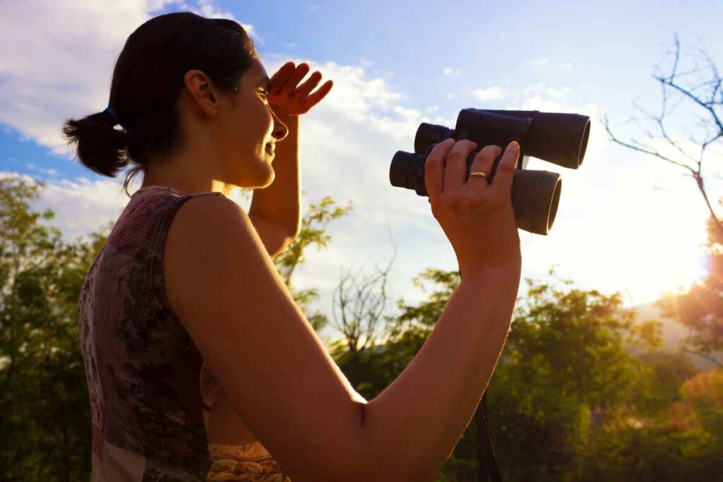 Bird Watching at Rice Lake State Park