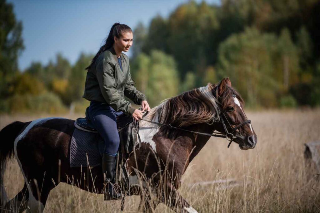 Equestrian
